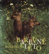 Barevné léto