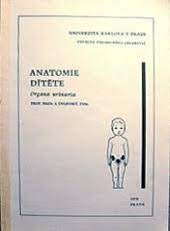 Anatomie dítěte : organa urinaria : určeno pro posl. fak. všeobecného lék., dětského lék. a Institutu pro další vzdělávání lékařů a farmaceutů