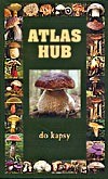 Atlas hub