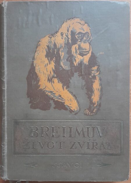Brehmův illustrovaný život zvířat. Díl I, Ssavci