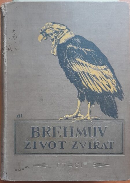 Brehmův ilustrovaný Život zvířat : šestidílné ilustrované lidové vydání. Díl V, Ptáci 2