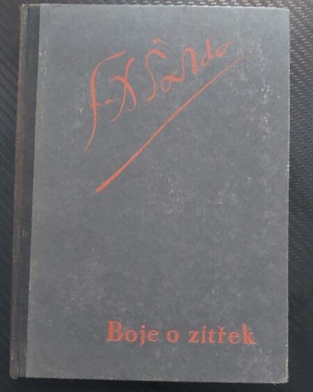 Boje o zítřek : meditace a rapsodie