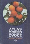 Atlas odrůd ovoce
