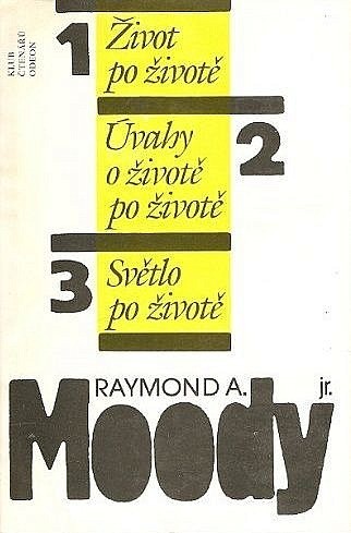 Život po životě / Úvahy o životě po životě / Světlo po životě