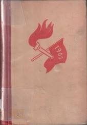 Bouřlivý rok 1905 : Román
