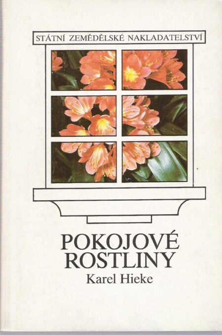 Pokojové rostliny